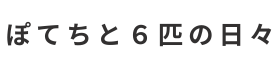 ぽてちと6匹の日々
