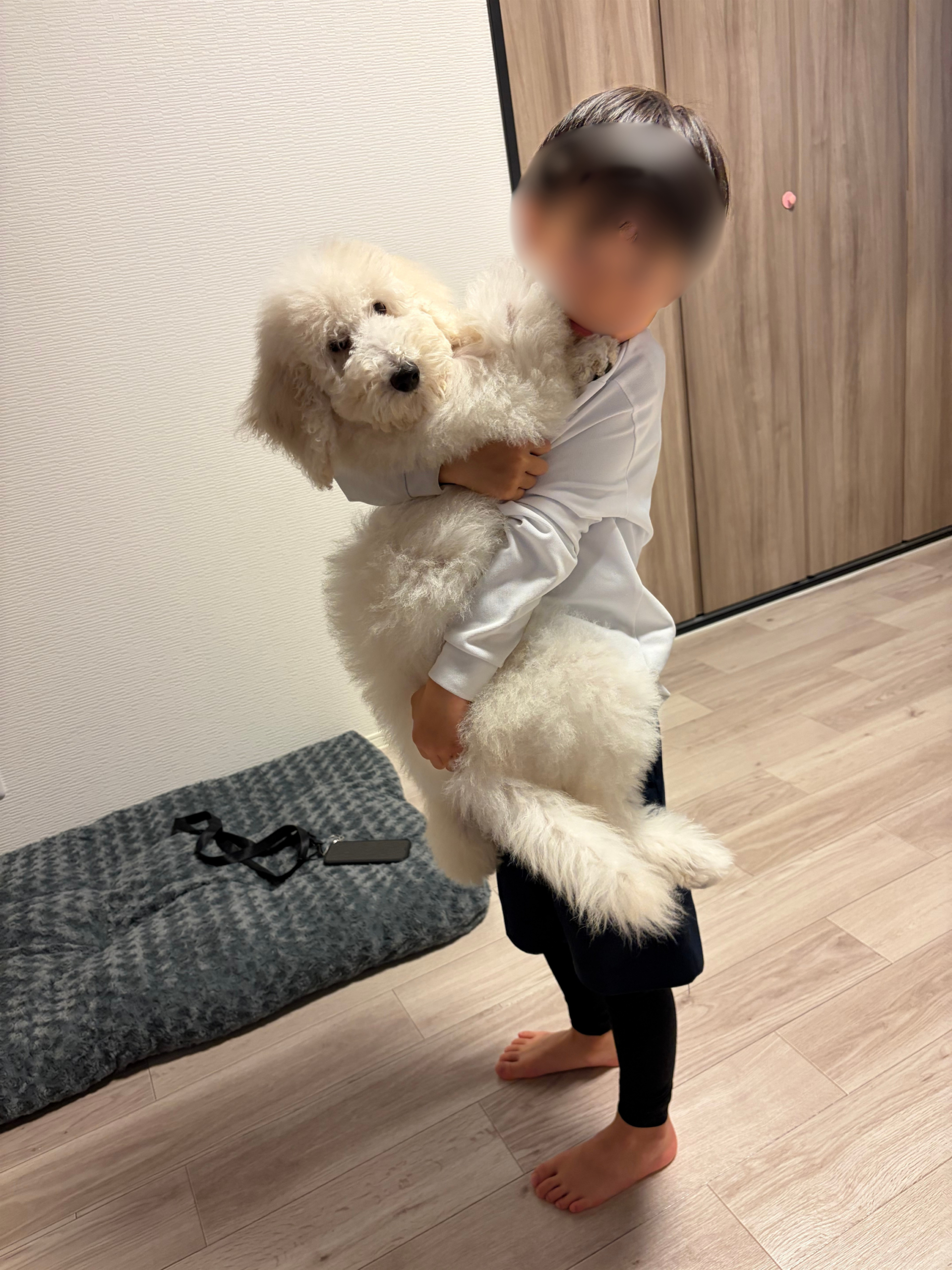 生後4ヶ月のゆき