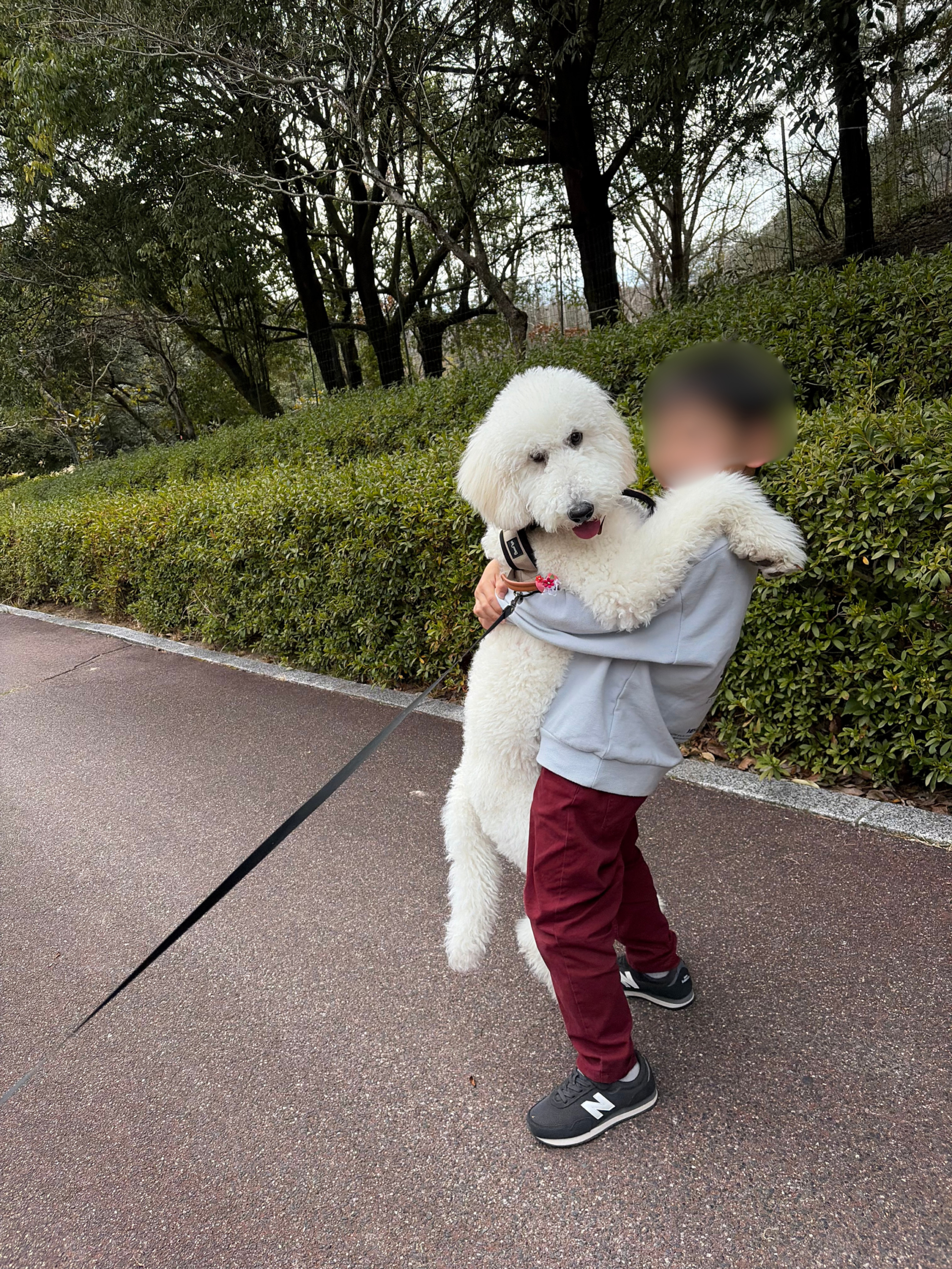 生後7ヶ月のゆき